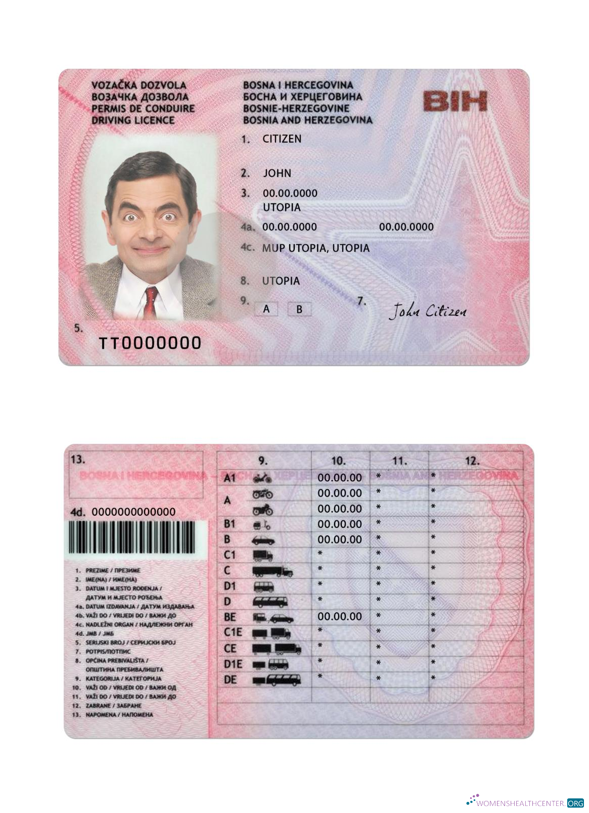 download Bosnia and Herzegovina driving license version 2